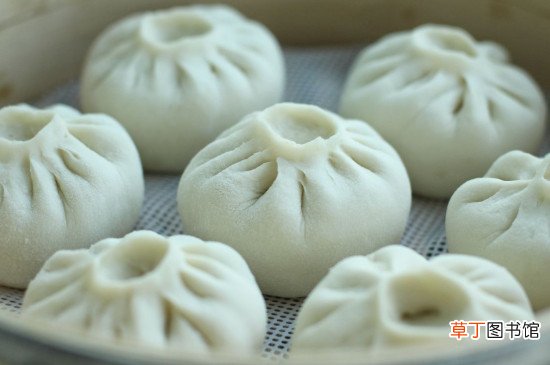 生包子不蒸可以冷冻吗