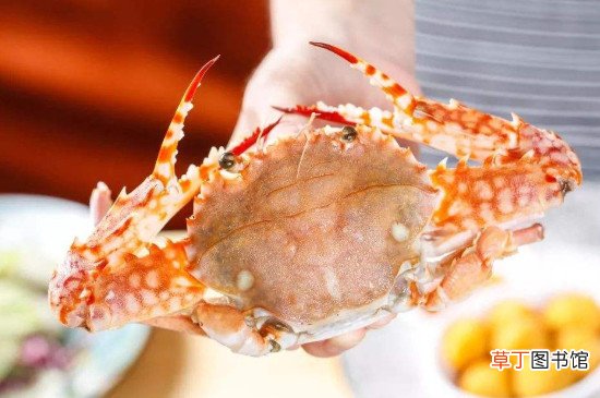 海蟹死了能不能吃了