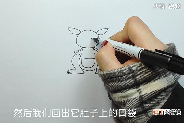 袋鼠的画法