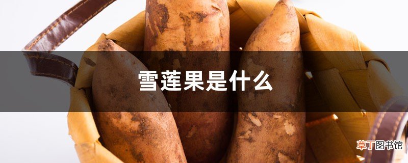 雪莲果是什么，雪莲果的吃法大全