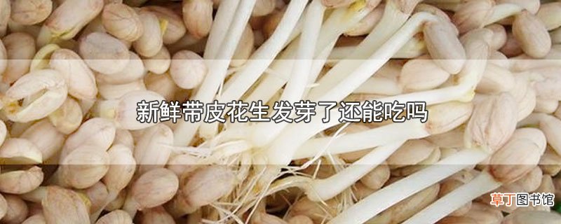 新鲜带皮花生发芽了还能吃吗