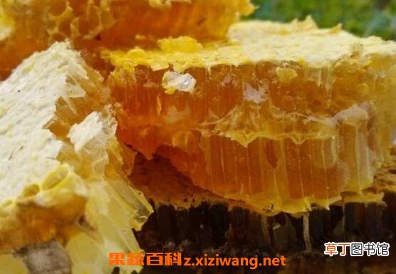 野生蜜蜂糖的功效与作用