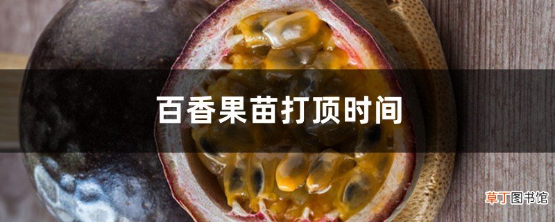 百香果苗打顶时间，盆栽百香果多高打顶