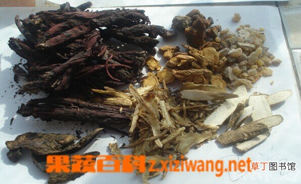 自制紫草油保质期