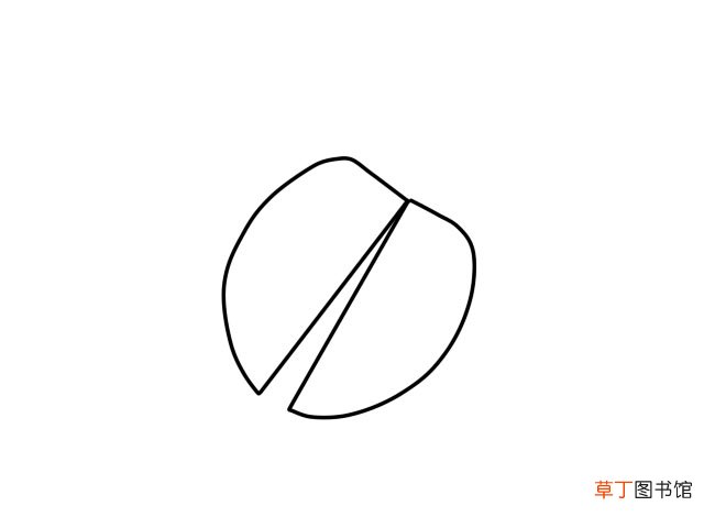 七星瓢虫简笔画 七星瓢虫怎么画
