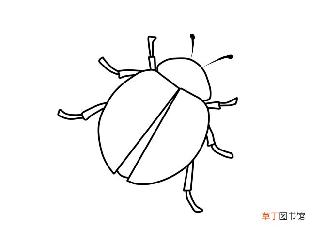七星瓢虫简笔画 七星瓢虫怎么画