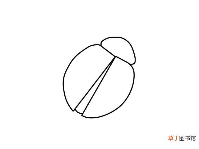 七星瓢虫简笔画 七星瓢虫怎么画