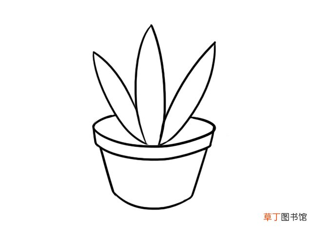 盆栽简笔画 盆栽的简单画法