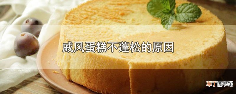 戚风蛋糕不蓬松的原因