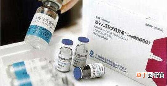 狂犬疫苗副作用的影响,极少数过敏反应和并发症需要及时处理
