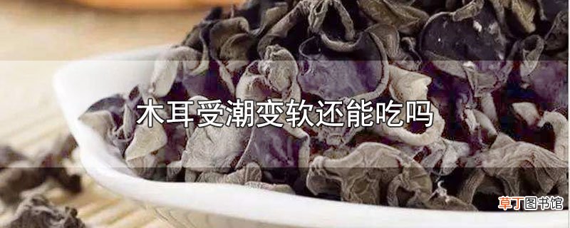 木耳受潮变软还能吃吗