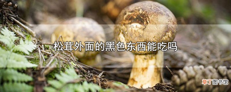 松茸外面的黑色东西能吃吗