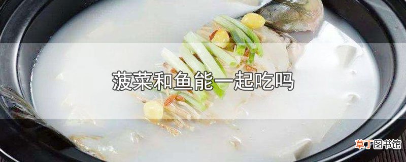 菠菜和鱼能一起吃吗
