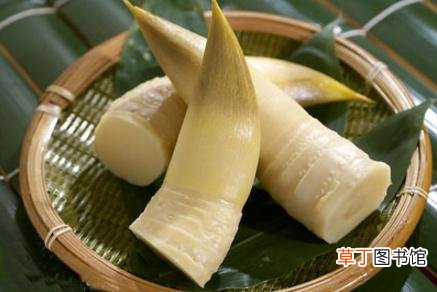 鲜冬笋可以冷冻保存吗-家庭须知