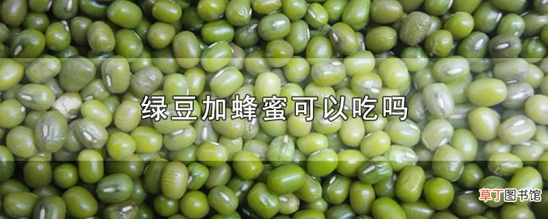 绿豆加蜂蜜可以吃吗