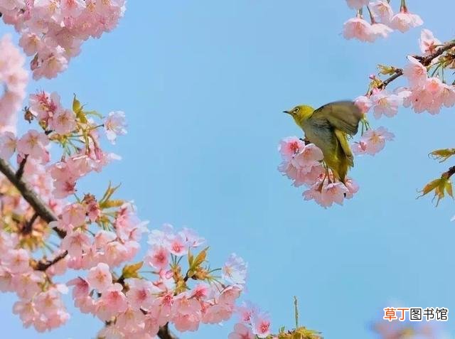 老公生日快乐祝福语