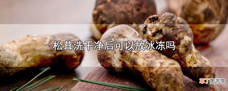 松茸洗干净后可以放冰冻吗