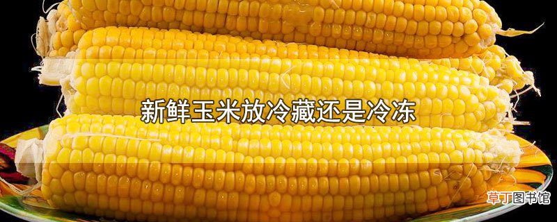新鲜玉米放冷藏还是冷冻