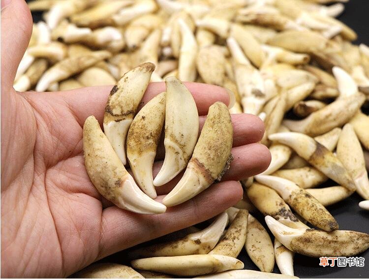 女人把男人拉黑删除哪个更绝情