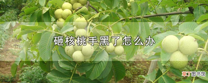 砸核桃手黑了怎么办