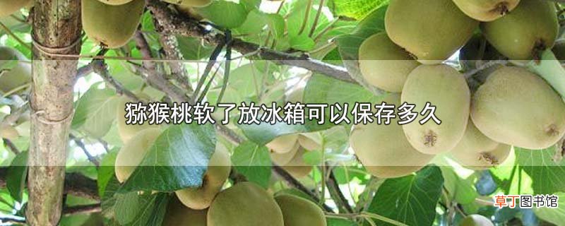 猕猴桃软了放冰箱可以保存多久