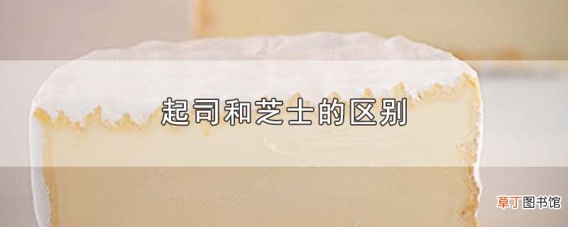 起司和芝士的区别