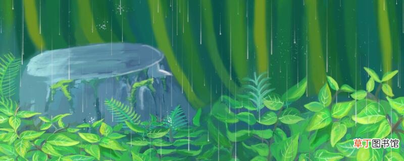 连雨不知春去 一晴方觉夏深寓意喜晴范成大思想感情