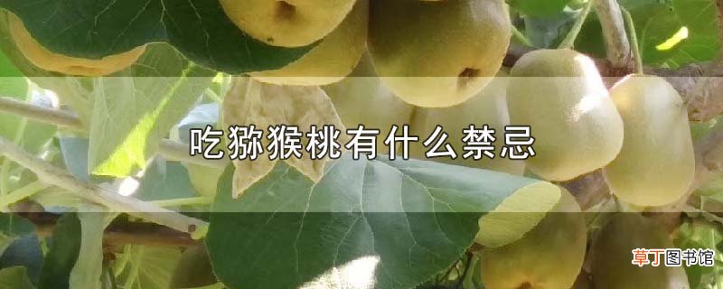 吃猕猴桃有什么禁忌