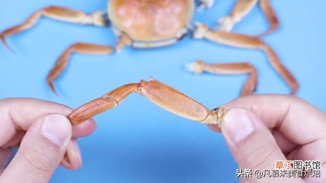 螃蟹哪些部位可以吃 手把手教你螃蟹的正确吃法