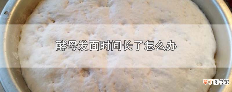 酵母发面时间长了怎么办