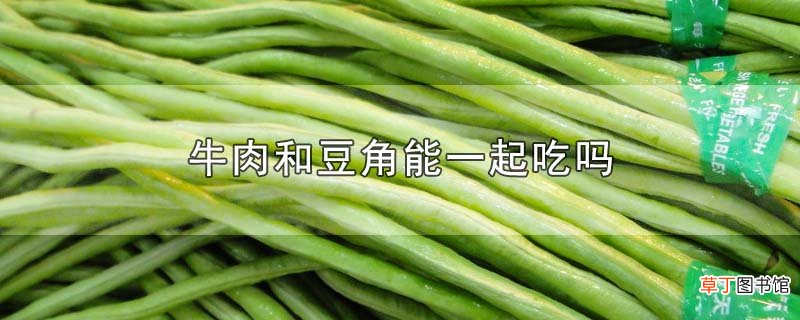 牛肉和豆角能一起吃吗