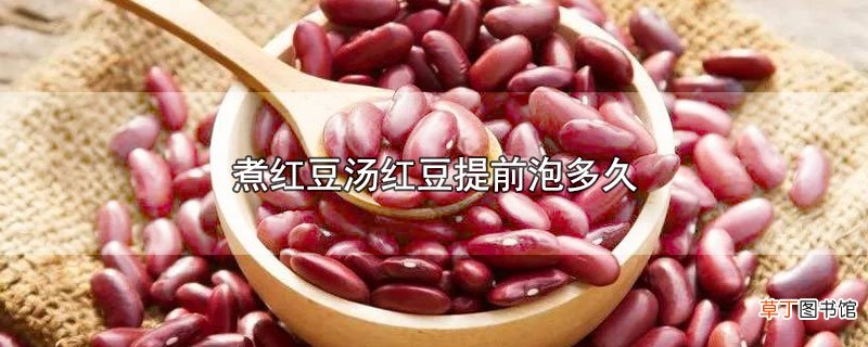 煮红豆汤红豆提前泡多久