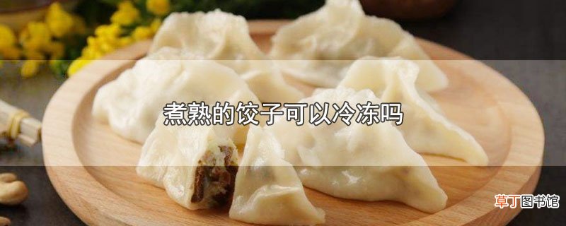 煮熟的饺子可以冷冻吗