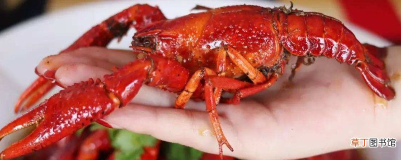 龙虾第二天加热一下还能吃吗?