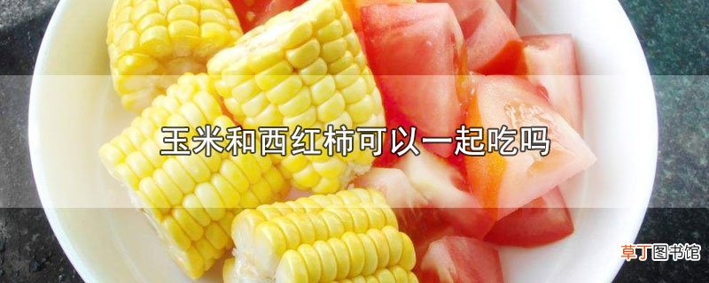 玉米和西红柿可以一起吃吗