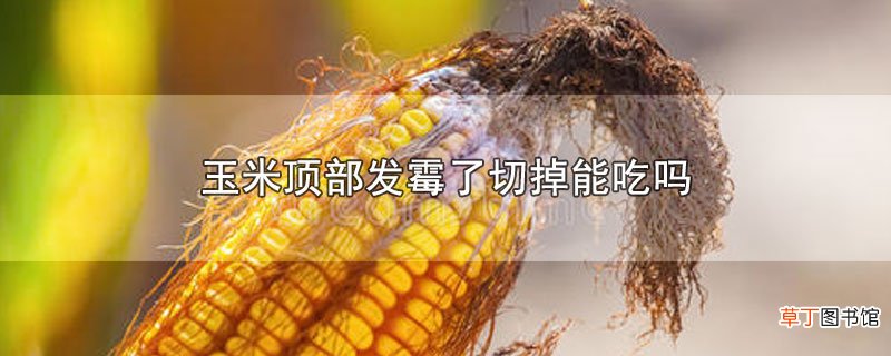 玉米顶部发霉了切掉能吃吗