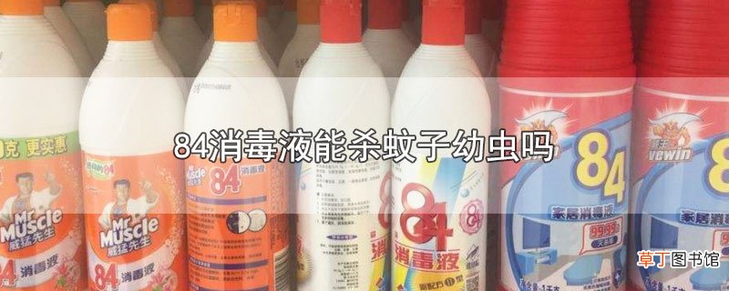 84消毒液能杀蚊子幼虫吗