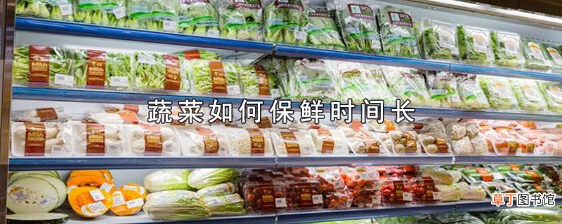 蔬菜怎么保鲜时间长