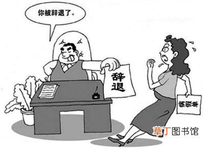 宁可开除不辞职 被辞退还傻乎乎填了离职申请