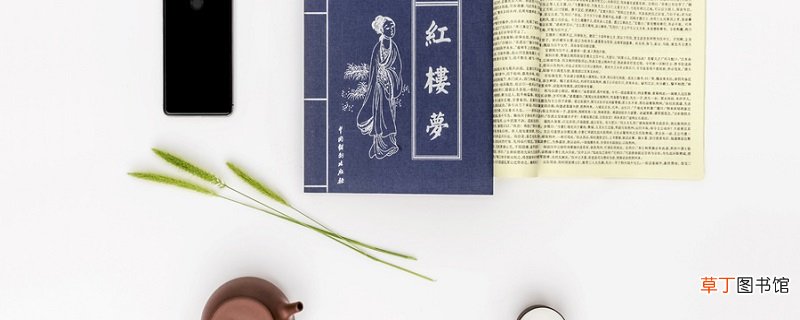 红楼梦第四十七回概括 红楼梦第四十七回概括是什么
