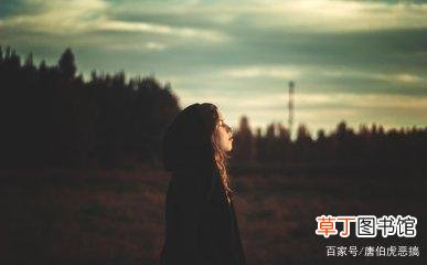 什么叫爱情和感情有什么区别
