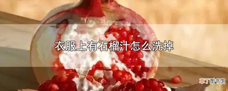 衣服上有石榴汁怎么洗掉