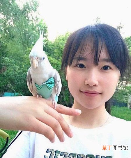 95后江苏女孩做鸟用尿不湿,月入三万产品远销国外