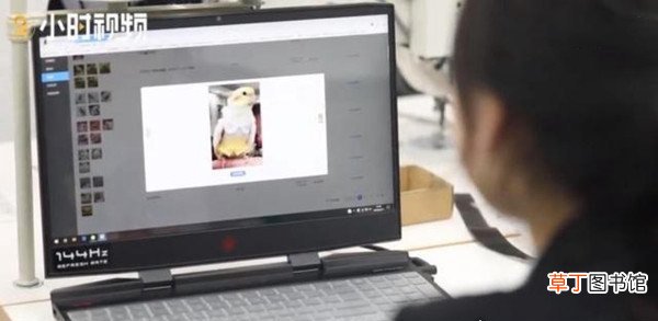 95后江苏女孩做鸟用尿不湿,月入三万产品远销国外