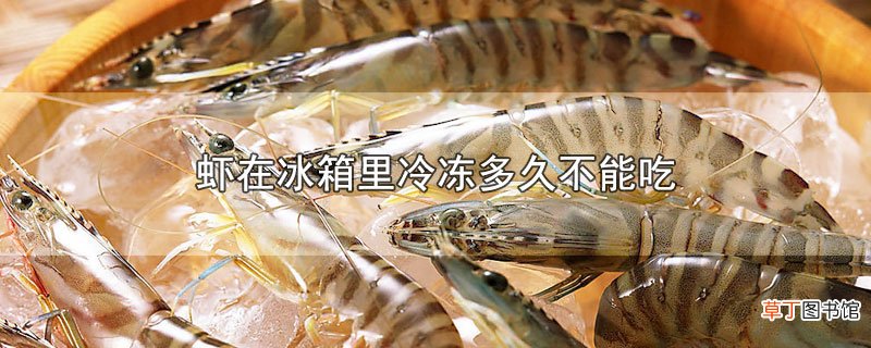 虾在冰箱里冷冻多久不能吃