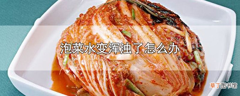 泡菜水变浑浊了怎么办