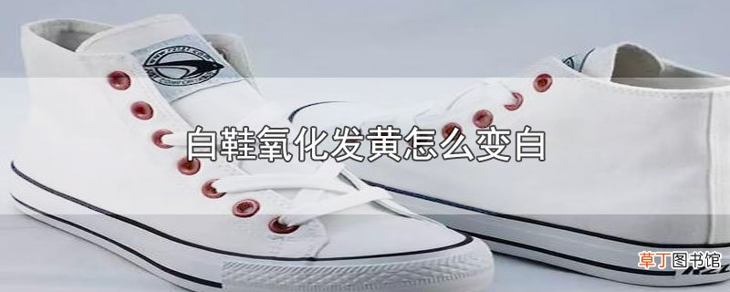 白鞋氧化发黄怎么变白