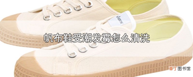 帆布鞋受潮发霉怎么清洗