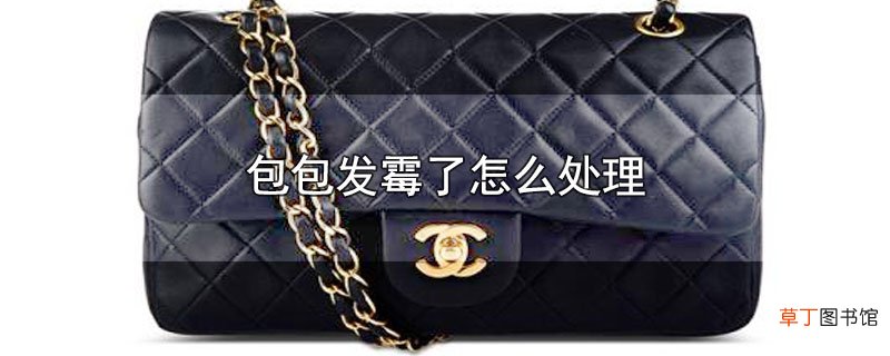 包包发霉了怎么处理