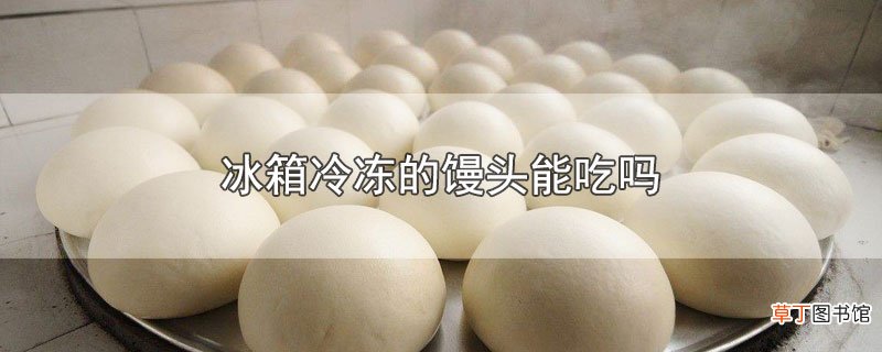 冰箱冷冻的馒头能吃吗
